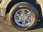 2024 Ford F-150 SuperCrew Cab 4WD Pickup for sale #00A50933 - photo 29