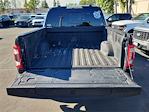 2023 Ford F-150 SuperCrew Cab 4WD Pickup for sale #00A60230 - photo 23