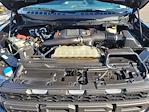 2023 Ford F-150 SuperCrew Cab 4WD Pickup for sale #00A60230 - photo 27