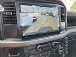 2025 Ford F-150 Regular Cab 4x2 Pickup for sale #00F50736 - photo 8