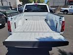 2025 Ford F-150 Regular Cab 4x2 Pickup for sale #00F51790 - photo 16