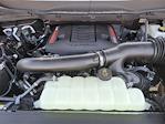 2025 Ford F-150 SuperCrew Cab 4x4 Pickup for sale #00J50270 - photo 25