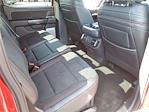 2025 Ford F-150 SuperCrew Cab 4x4 Pickup for sale #00J50475 - photo 15
