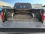 2025 Ford F-150 SuperCrew Cab 4x4 Pickup for sale #00J51019 - photo 20