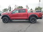 2025 Ford F-150 SuperCrew Cab 4WD Pickup for sale #00J52196 - photo 29