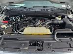 2023 Ford F-150 SuperCrew Cab 4WD Pickup for sale #00P19031 - photo 27