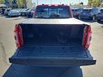 2023 Ford F-150 SuperCrew Cab 4WD Pickup for sale #00P19094 - photo 24