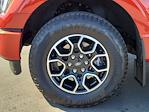 2023 Ford F-150 SuperCrew Cab 4WD Pickup for sale #00P19094 - photo 32