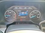 2024 Ford F-250 Crew Cab 4WD Pickup for sale #00R18037 - photo 9