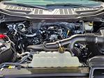 2024 Ford F-150 SuperCrew Cab 4x2 Pickup for sale #0R240979 - photo 21