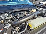 2024 Ford F-150 SuperCrew Cab 4x4 Pickup for sale #0R241274 - photo 25