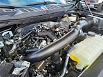 2024 Ford F-150 SuperCrew Cab 4x4 Pickup for sale #0R241474 - photo 25