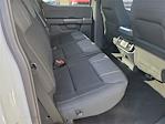 2024 Ford F-150 SuperCrew Cab 4x2 Pickup for sale #0R241905 - photo 13