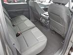 2024 Ford F-150 SuperCrew Cab 4x2 Pickup for sale #0R242196 - photo 17