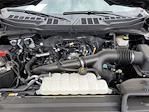 2024 Ford F-150 SuperCrew Cab 4x2 Pickup for sale #0R242196 - photo 20