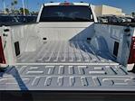 2025 Ford F-150 SuperCrew Cab 4x2 Pickup for sale #0R250136 - photo 18