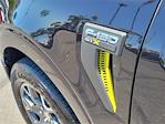 2025 Ford F-150 SuperCrew Cab 4x2 Pickup for sale #0R250300 - photo 19