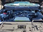 2025 Ford F-150 SuperCrew Cab 4x2 Pickup for sale #0R250300 - photo 20