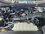 2025 Ford F-150 SuperCrew Cab 4x2 Pickup for sale #0R250302 - photo 24