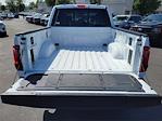 2025 Ford F-150 SuperCrew Cab 4WD Pickup for sale #0R250397 - photo 20