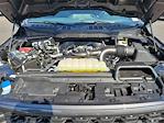 2025 Ford F-150 SuperCrew Cab 4WD Pickup for sale #0R250398 - photo 20