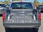 2025 Ford F-150 SuperCrew Cab 4x2 Pickup for sale #0R250445 - photo 17