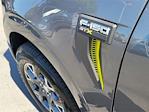 2025 Ford F-150 SuperCrew Cab 4x2 Pickup for sale #0R250445 - photo 19