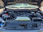 2025 Ford F-150 SuperCrew Cab 4x2 Pickup for sale #0R250445 - photo 22
