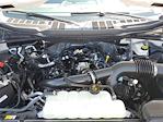 2025 Ford F-150 SuperCrew Cab 4x2 Pickup for sale #0R250455 - photo 20