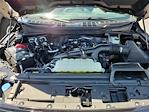 2025 Ford F-150 SuperCrew Cab 4x2 Pickup for sale #0R250499 - photo 24
