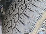 2025 Ford F-150 SuperCrew Cab 4x4 Pickup for sale #0R250663 - photo 26