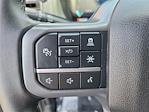 2025 Ford F-150 SuperCrew Cab 4x4 Pickup for sale #0R250663 - photo 6