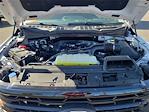 2025 Ford F-150 SuperCrew Cab 4x2 Pickup for sale #0R250667 - photo 24