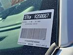 2025 Ford F-150 SuperCrew Cab 4x2 Pickup for sale #0R250667 - photo 30