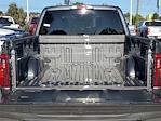 2025 Ford F-150 SuperCrew Cab 4x2 Pickup for sale #0R250697 - photo 19