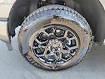 2025 Ford F-150 SuperCrew Cab 4WD Pickup for sale #0R250774 - photo 28