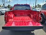 2025 Ford F-150 SuperCrew Cab 4x4 Pickup for sale #0R250785 - photo 20