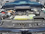 2025 Ford F-150 SuperCrew Cab 4WD Pickup for sale #0R251075 - photo 27
