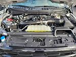 2025 Ford F-150 SuperCrew Cab 4WD Pickup for sale #0R251511 - photo 28