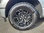 2025 Ford F-150 SuperCrew Cab 4WD Pickup for sale #0R251511 - photo 30