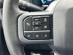 2025 Ford F-150 SuperCrew Cab 4x4 Pickup for sale #250115 - photo 16