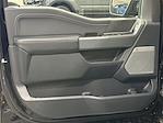 2025 Ford F-150 SuperCrew Cab 4x4 Pickup for sale #250182 - photo 11