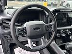 2025 Ford F-150 SuperCrew Cab 4x4 Pickup for sale #250225 - photo 14
