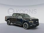 2025 Ford F-150 SuperCrew Cab 4x4 Pickup for sale #250282 - photo 7