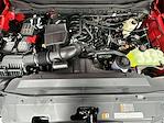2025 Ford F-250 Regular Cab 4x4 Pickup for sale #250322 - photo 27