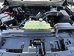 2025 Ford F-150 SuperCrew Cab 4x4 Pickup for sale #250426 - photo 32
