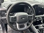 2025 Ford F-150 SuperCrew Cab 4x4 Pickup for sale #250427 - photo 14