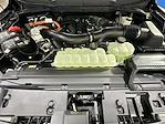 2025 Ford F-150 SuperCrew Cab 4x4 Pickup for sale #250453 - photo 33