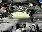 2025 Ford F-150 SuperCrew Cab 4x4 Pickup for sale #250455 - photo 30