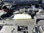 New 2025 Ford F-150 STX SuperCrew Cab 4WD Pickup for sale #250165 - photo 37